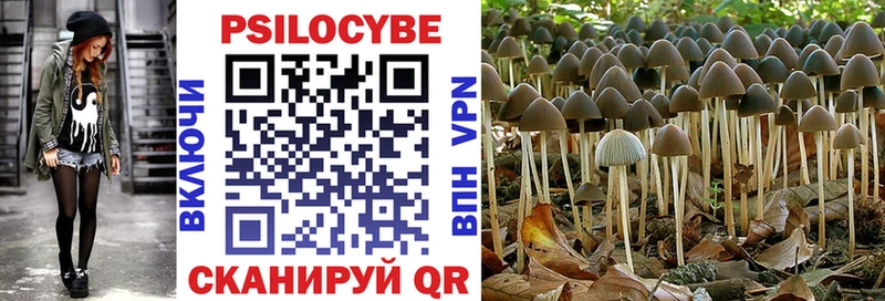 Псилоцибиновые грибы мухоморы  Купить где  Тутаев 